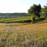 Colle Casini Cortesi Bed & Breakfast