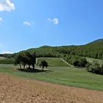 Bed & Breakfast Colle Casini Cortesi