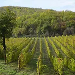 Colle Casini Cortesi Bed & Breakfast 3*