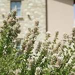 Colle Casini Cortesi Bed & Breakfast Caldarola