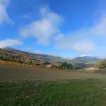 Colle Casini Cortesi 3*