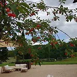 Colle Casini Cortesi Bed & Breakfast