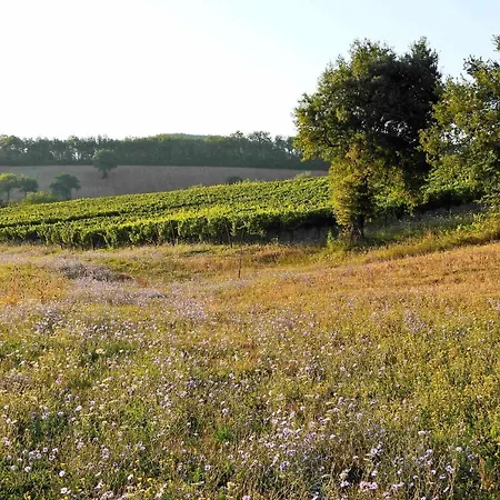 Colle Casini Cortesi Panzió