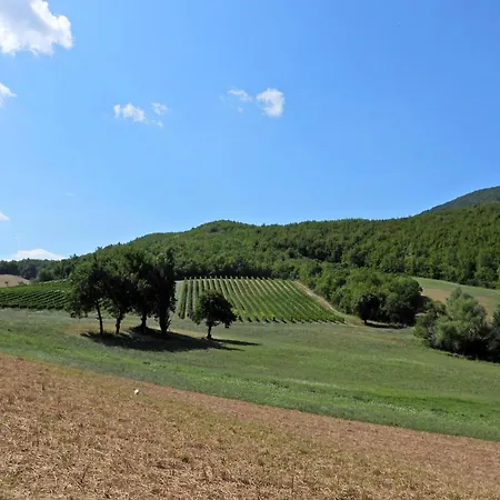 Oda ve Kahvaltı Colle Casini Cortesi