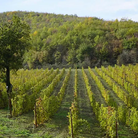 Colle Casini Cortesi Oda ve Kahvaltı 3*