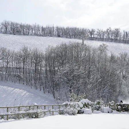 Colle Casini Cortesi Caldarola