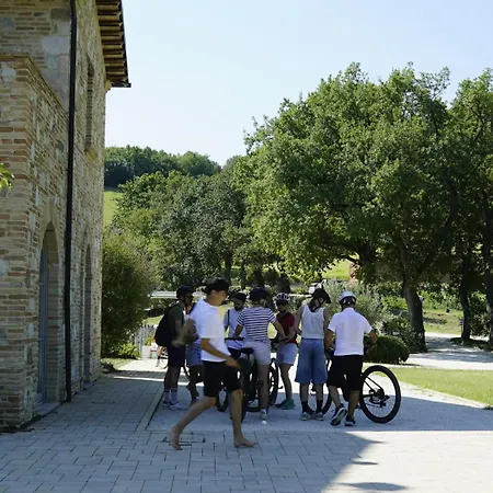 Colle Casini Cortesi