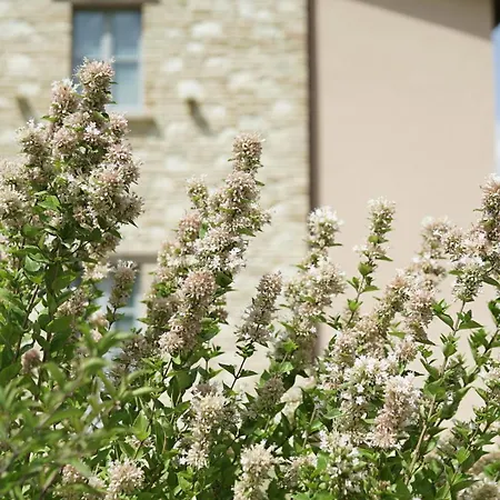 Colle Casini Cortesi Panzió Caldarola