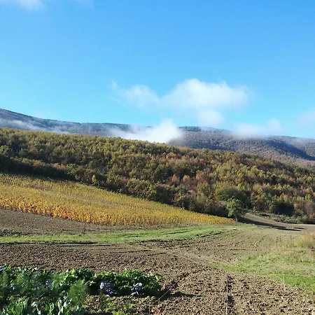 Colle Casini Cortesi Caldarola