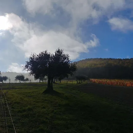 Colle Casini Cortesi 3* Caldarola