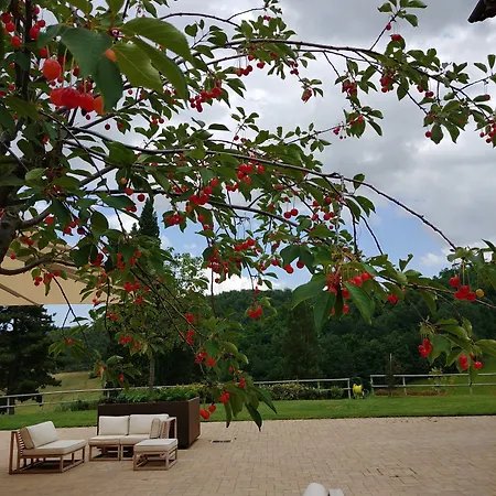 Colle Casini Cortesi Panzió