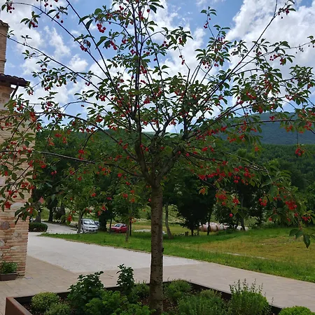 Colle Casini Cortesi Panzió Caldarola