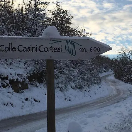 Colle Casini Cortesi