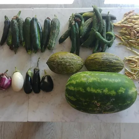 Colle Casini Cortesi Panzió 3*